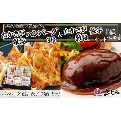 ふるさと納税 徳島市 からだに優しい健康ギフト たかきび雑穀ハンバーグ3種・たかきび雑穀餃子「連」【AG024】