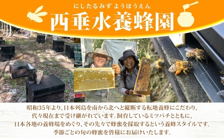 【 ふるさと納税 】北海道美深産 天然そばはちみつ 1.2kg 瓶 はちみつ 蜂蜜 みつばち 蜜蜂 ミツバチ そば蜜 ソバ蜜 純粋国産 国産 日本産 生 ミネラル ミネラル豊富 蕎麦蜜 お取り寄せ 送