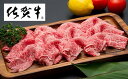 【ふるさと納税】佐賀牛モモしゃぶしゃぶ・すき焼き用　500g（CF006）