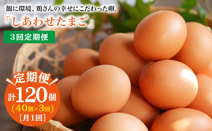 【月1回40個×3回定期便】平飼い「しあわせたまご」＜松本養鶏場＞ [CCD024]