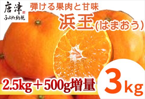 『先行予約』【令和9年1月下旬発送】浜王(はまおう) ハウス栽培 唐津産 3kg 口之津(くちのつ) 39号みかん フルーツ 果物 柑橘 かんきつ