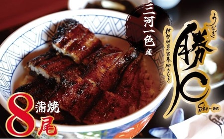 【備長炭で焼く“いい焦がし”】三河一色産うなぎの蒲焼8尾 鰻 ウナギ たれ タレ 国産 備長炭 土用 丑の日 冷凍 三河一色産 H189-015