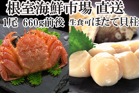 ボイル毛がに660g前後×1尾、天然刺身用ほたて貝柱500g B-14047