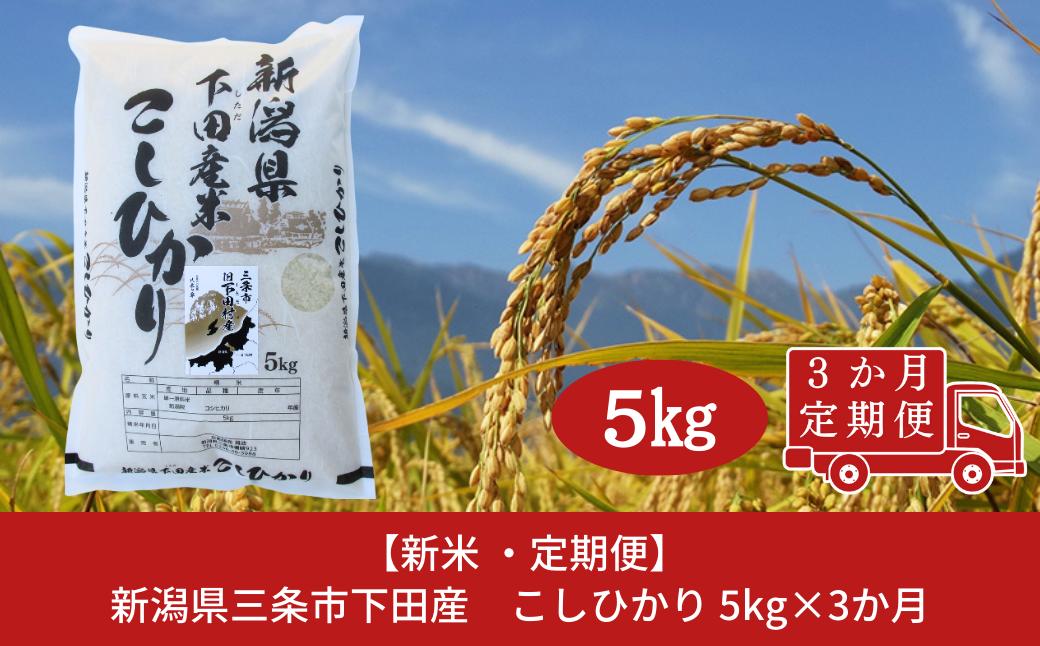 
                  [定期便5kg×3か月] 新潟県産 こしひかり 新潟県 三条市 下田産 コシヒカリ 精米 白米 【030S036】
                