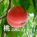 【ふるさと納税】No.2869 もも（品種おまかせ）約1.7kg【2025年発送　先行予約】