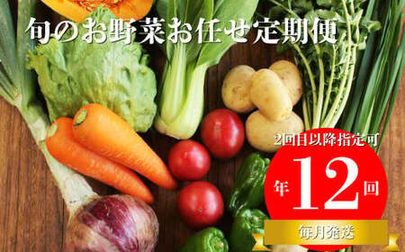 【ふるさと納税】年12回発送！＜南国高知から直送！旬の季節のお野菜定期便（7～9品）＞毎月お届け 野菜セット 野菜便 詰め合わせ 【冷蔵】 旬の時期にお届け 2回目以降、着日時間指定可能 こうち育ち 佐川町