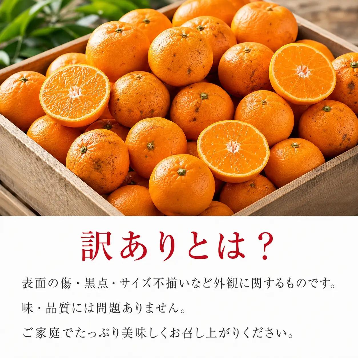 【訳あり・ご家庭用】和歌山有田みかん10kg 2S〜2L サイズ混合【2026年11月下旬～2026年12月下旬頃に順次発送予定】【Z-uot871】