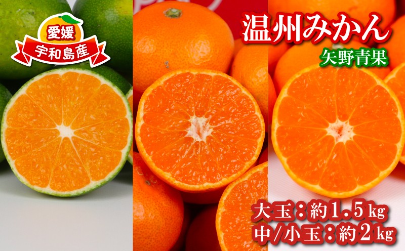 
                  温州みかん 約1.5kg ～ 約2kg 矢野青果 極早生 早生 南柑20号 フルーツ 柑橘 蜜柑 mikan 温州 うんしゅう わせ 早生みかん 極早生みかん 果物 くだもの みかん 人気のみかん 美味しいみかん 濃厚みかん 温州蜜柑 産地直送 数量限定 国産 愛媛 宇和島 B008-171045～046
                