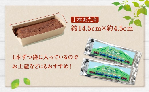 南阿蘇鉄道 トロッコショコラ 10本（約145g×10本）【2026年9月発送】菓子 お菓子 焼き菓子 チョコ風味 ショコラ ガトーショコラ 個包装 小分け