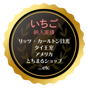 いちご狩りチケット 4名様「スカイベリー」「とちあいか」2品種45分食べ放題！練乳付き！【日光いちご園 渡辺】｜イチゴ狩り 収穫体験 フルーツ狩り 入園券 観光 旅行 イチゴ 苺 フルーツ 果物 果実