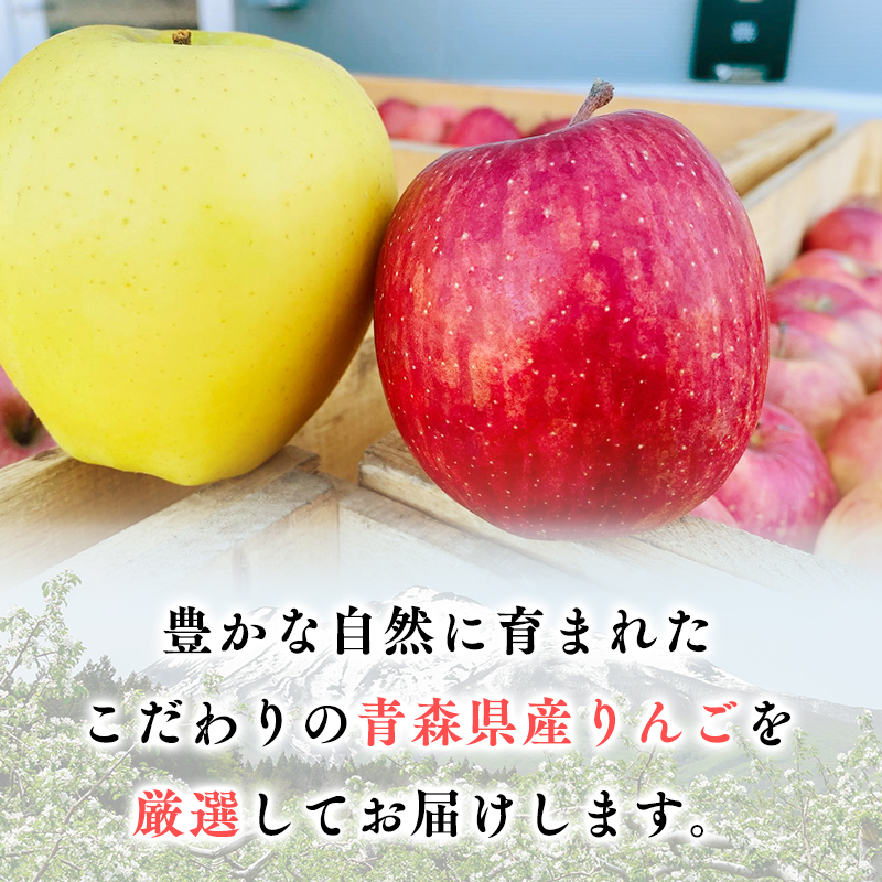 11月発送 【訳あり】旬のりんご詰め合わせ5㎏【りんご・青森・平川・訳あり・家庭用・宮川商店・11月・12月・1月・2月・3月・4月】