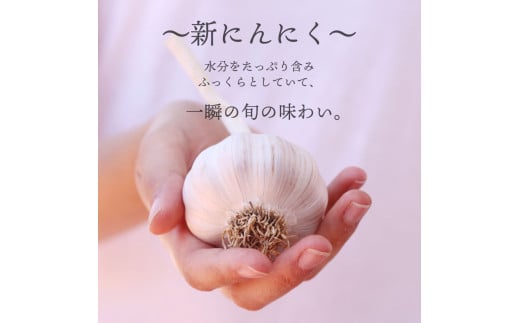 ★数量限定★≪ヤマシン≫ 初鰹のわら焼きタタキ 1節 ※新にんにく1玉付き※ 本場 高知 たたき タタキ かつお 鰹 カツオ タレ付 魚 海鮮 わら焼き 冷蔵 ニンニク にんにく 自慢 人気 送料無料