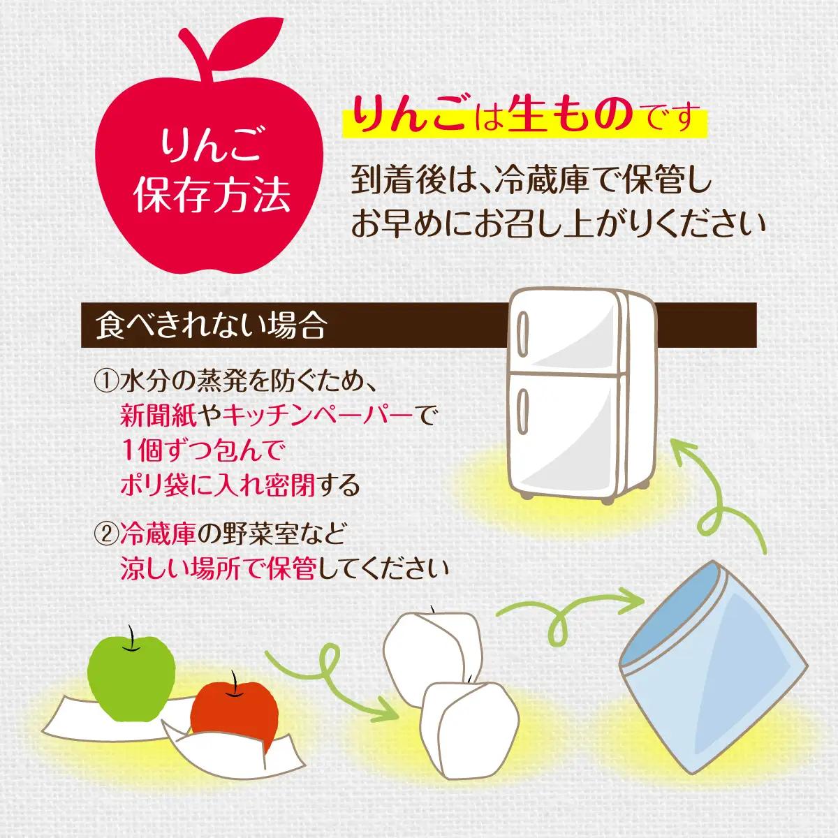 【先行予約】＜2026年11月中旬よりお届け＞北海道壮瞥町　りんご　品種名「北斗」8～10玉約3kg SBTF022
