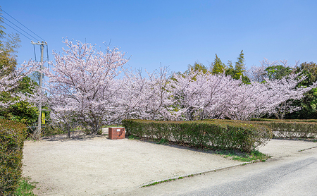 ウェルネスパーク五色 オートキャンプ場 宿泊券 キャンプ チケット 宿泊 旅行 兵庫県 洲本市 淡路島