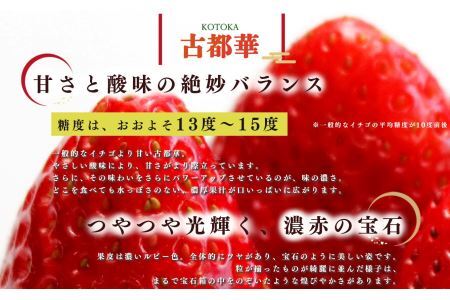 平群町産 古都華 2L ～ 3L サイズ 2ケース（4パック） 2月発送 | 苺 旬の品種 イチゴ ストロベリー くだもの フルーツ  奈良県 平群町 フードロス 人気 産地直送 ことか