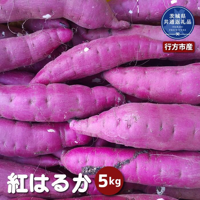 【ふるさと納税】さつまいも「紅はるか」約5kg (2025年産)（茨城県共通返礼品・行方市産）