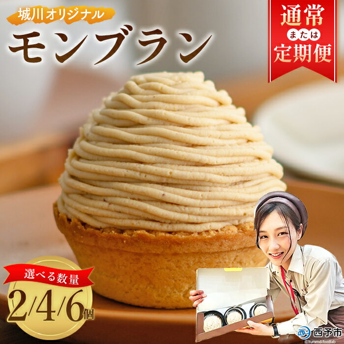 栗 スイーツ ＜城川オリジナル モンブラン 6個入り＞ マロン くり クリ 国産 和栗 ペースト クリーム 渋皮煮 スポンジケーキ 生クリーム チーズ バター タルト メニークエスト 愛媛県 西予市【冷凍】『2か月以内に順次出荷予定』ふるさと納税モンブラン