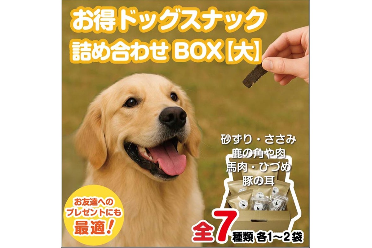 ドッグスナック詰め合わせBOX【大】【090-0004】