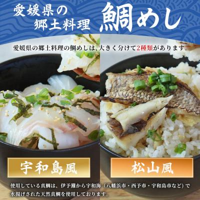 ふるさと納税 西予市 <愛媛の鯛めし食べ比べセット(2セット)> 愛媛の鯛めし 鯛 真鯛 まだい マダイ |  | 01