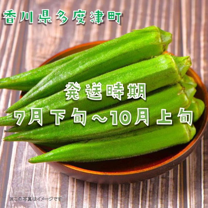 オクラ約1.4kg　20ネットまたはバラ詰め【A-143】