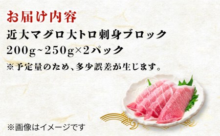長崎県五島産 近大マグロ  （大トロ）刺身ブロック 五島市/五島ヤマフ [PAK017]