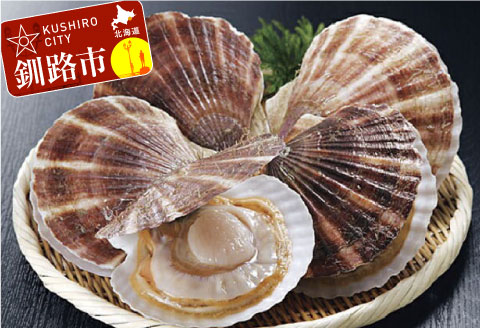 【北海道から直送!!】殻付活ホタテ貝（6.0kg詰）16～30枚入 ふるさと納税 ほたて _F5F-0120