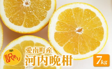 訳あり 河内晩柑 7kg 愛南ゴールド 柑橘 みかん 山口農園 愛媛県 愛南町