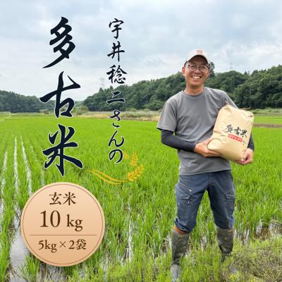 ふるさと納税 多古町 多古米セレクション　宇井稔二さんの多古米コシヒカリ　玄米10kg　令和8年産