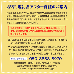 【先行受付】【2026年11月上旬～発送】レモン好きのためのレモン1kgとレモンバラエティセット ku118-008-26