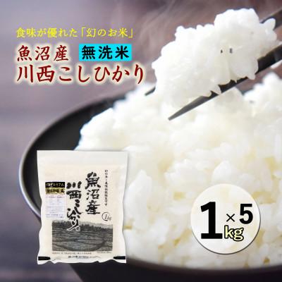 ふるさと納税 十日町市 【無洗米】新潟県魚沼産　川西こしひかり1kg×5　令和8年産米