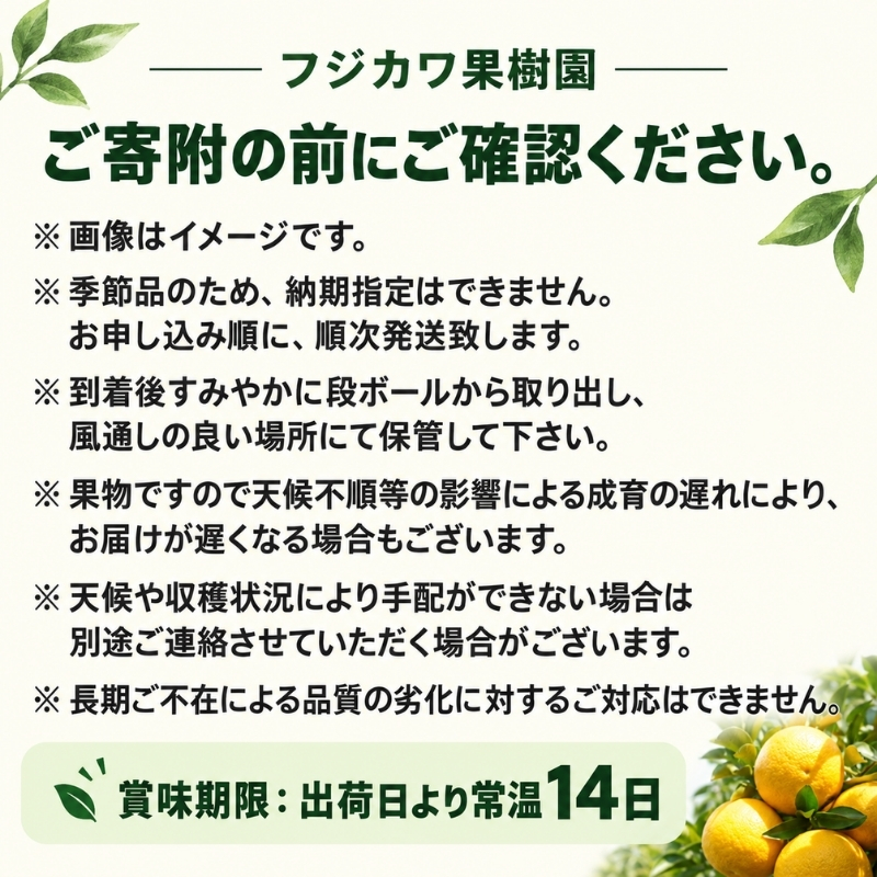 甘夏柑 低温貯蔵 約10kg みかん 香川県産 国産 柑橘 フリーサイズ M～L フジカワ果樹園 藤川果樹園 果実 中晩柑 柑橘類 フルーツ 果物 くだもの 蜜柑 ミカン マーマレード ギフト 贈り物