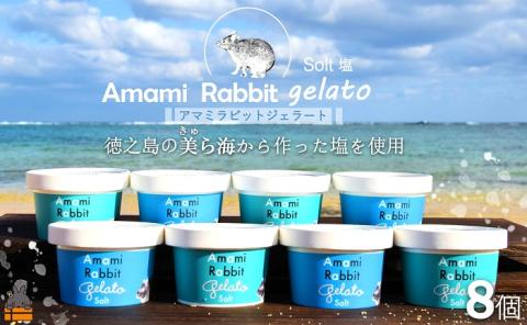 《ふるさと納税限定》美ら海の塩と濃厚ミルク。アマミラビットジェラート（Salt：8個） （ アイス 塩 うさぎ ウサギ 徳之島 奄美 鹿児島 世界自然遺産 美農里館 オリジナル ）