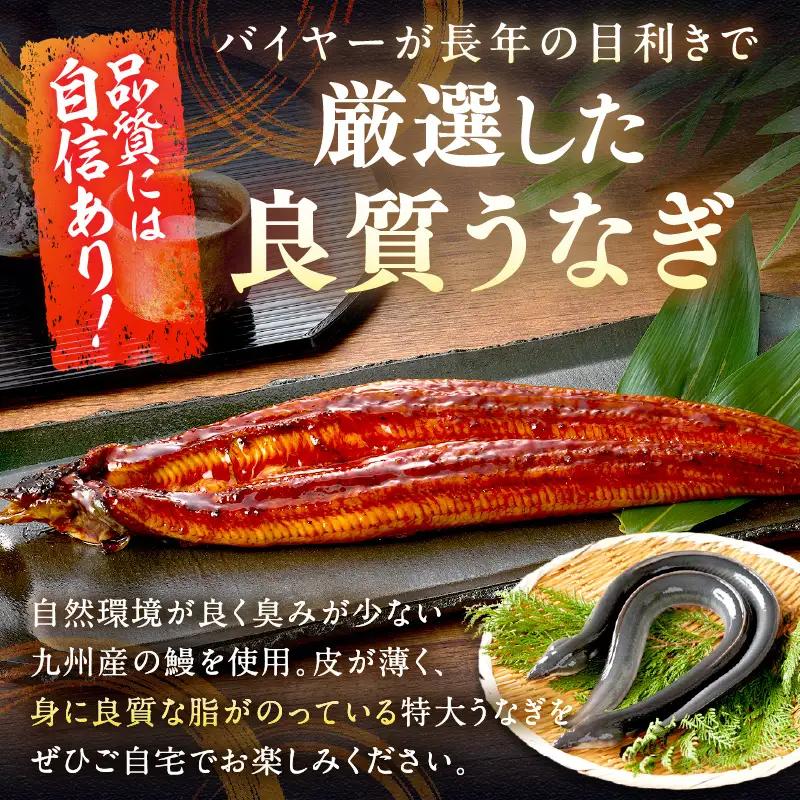 【国産鰻】うなぎ蒲焼き 1尾 250g前後 | うなぎ