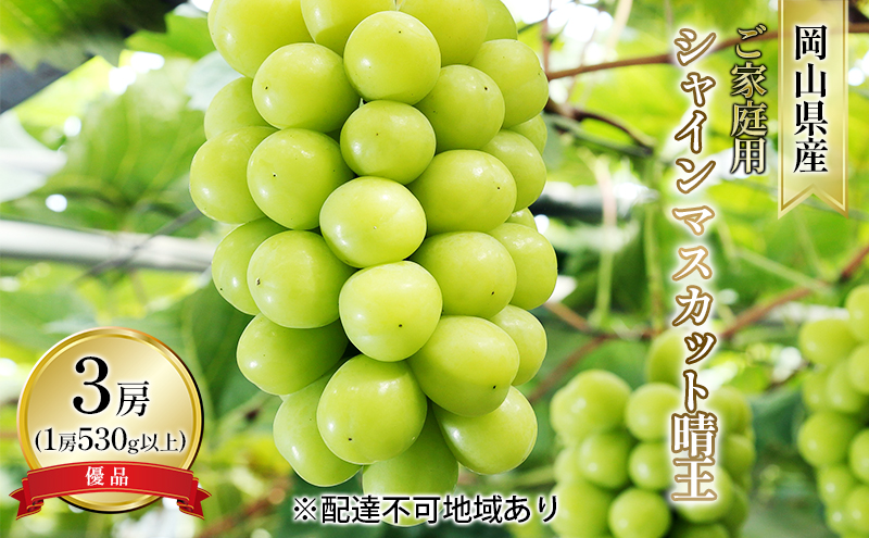 ぶどう 2026年 先行予約 ご家庭用 シャイン マスカット 晴王 優品 3房入り（1房 530g以上 露地栽培） ブドウ 葡萄  岡山県産 国産 フルーツ 果物 岡山の葡萄 