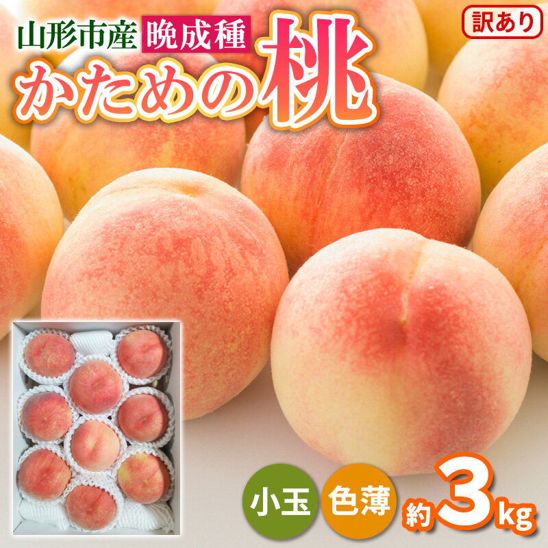 【ふるさと納税】かための桃 晩成種 約3kg (7～12玉) 小玉 色薄 訳あり[伊達白桃 さくら白桃 白根白桃] FY25-297