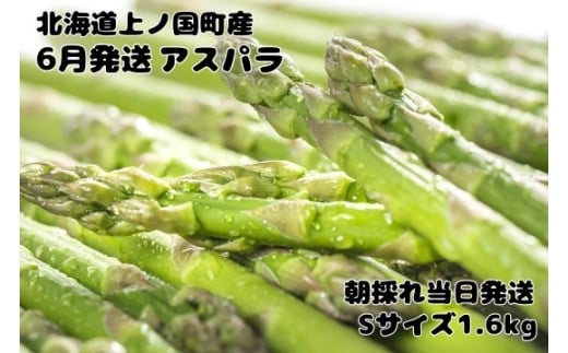 【2026年6月発送】寅福菜園の朝採り6月限定アスパラ　S（1.6㎏）　グリーンアスパラ　朝採れ　農家直送　新鮮　ジューシー　特産品　北海道産