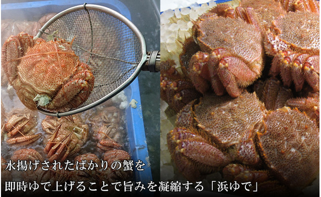 【大サイズ】北海道産 冷凍ボイル毛ガニ (700g-800g前後) 5尾 AS195
