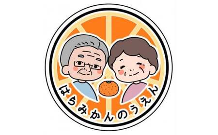 せとか 12個 約 2.5 kg 【 はら みかん 農園 】 柑橘 オレンジ 沼津 静岡 フルーツ 直送