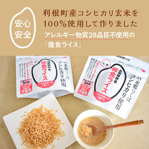 利根町産米100％使用　水不要！そのまま食べられる【非常食・備食ライス】カレー味（40袋）