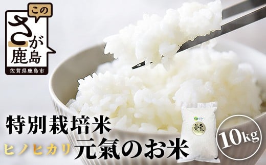 
                  【令和7年産 お米10kg|ヒノヒカリ 白米】【生産者直送】幸せと笑顔を届ける元氣のお米｜佐賀県特別栽培農産物｜化学農薬・化学肥料不使用｜精米 有機肥料 佐賀県 鹿島市 D-219
                