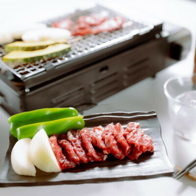 【ふるさと納税】【桜屋】馬肉焼肉用500gカット済(美里町)【配送不可地域：離島】【1619172】