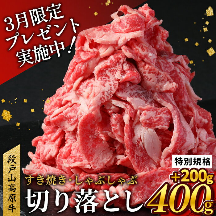 【ふるさと納税】〈3月受付限定！〉国産ブランド牛 牛肉 切り落とし 600g (200g×3） 小分け 段戸山高原牛 幻 牛 国産 牛肉 牛 スライス 小分け 大満足 赤身 肉 数量限定 肉 国産牛 ブランド牛 5000円 -070