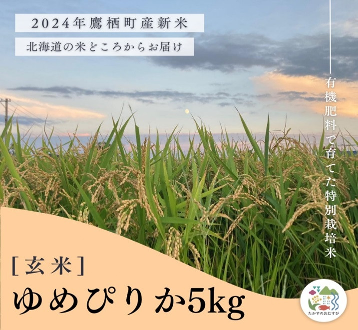 
A258【令和６年産】ゆめぴりか（玄米）特Aランク 5kg 北海道 鷹栖町 たかすのおむすび 米 コメ ご飯 玄米 お米 ゆめぴりか
