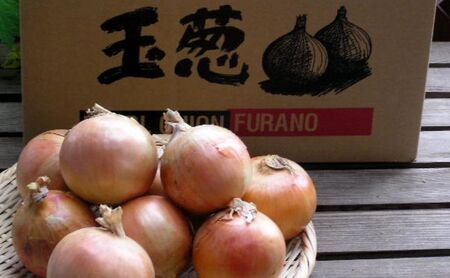 【2026年秋冬発送】北海道富良野産 たまねぎ 約10kg (Lサイズ前後) 野菜 玉ねぎ