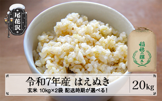 令和7年産 玄米 はえぬき 20kg 10kg×2袋 2025年産 米 お米 国産 山形県 尾花沢市 kh-hagxa20