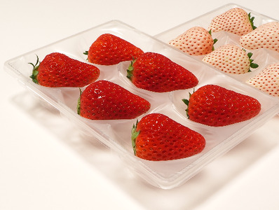 いちご 紅ほっぺ 白いちご 計 400g 計 2 パック 高級 紅白 イチゴ 苺 セット