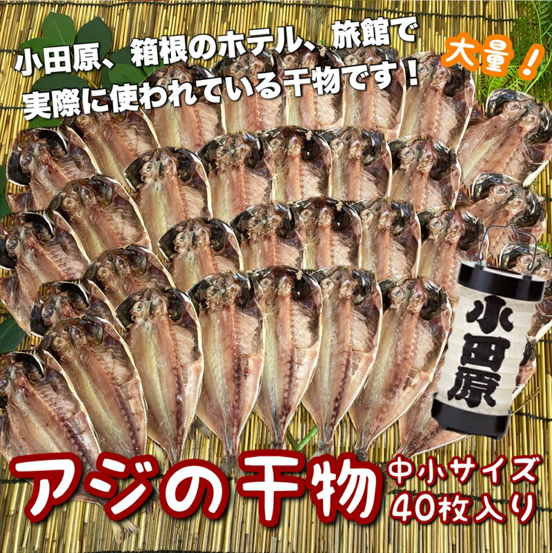 【ふるさと納税】鯵の干物 中小サイズ 40枚セット【 神奈川県 小田原市 】