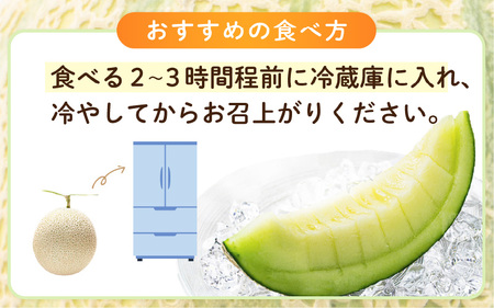 【先行予約】【数量限定】三里浜アンデスメロン 2L以上 × 4玉 【2026年6月下旬より順次発送】 [A-16513]