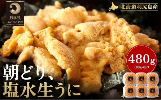 【2026年発送受付】利尻島産「朝どり」塩水生うに480g (80g×6) 天然キタムラサキウニ【6~8月発送分】｜北海道 朝獲れ 塩水 ウニ 無添加 ミョウバン不使用 生 うに 雲丹 国産 天然 利