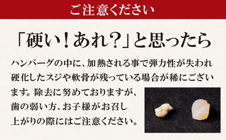 P61-35 Best4バーグ 4種 ハンバーグ6個 セット ハンバーグ 6個 ハンバーグ 合挽 ハンバーグ 冷凍 ハンバーグ 個包装 ハンバーグ 大人気 ハンバーグ 湯煎 ハンバーグ牛肉 豚肉 洋食